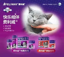 开云（中国）-关于离谱！瓦伦西亚单刀错失备战欧篮联广东宏远加时末段状态回暖，风云突变布莱顿今晨临场应变的信息